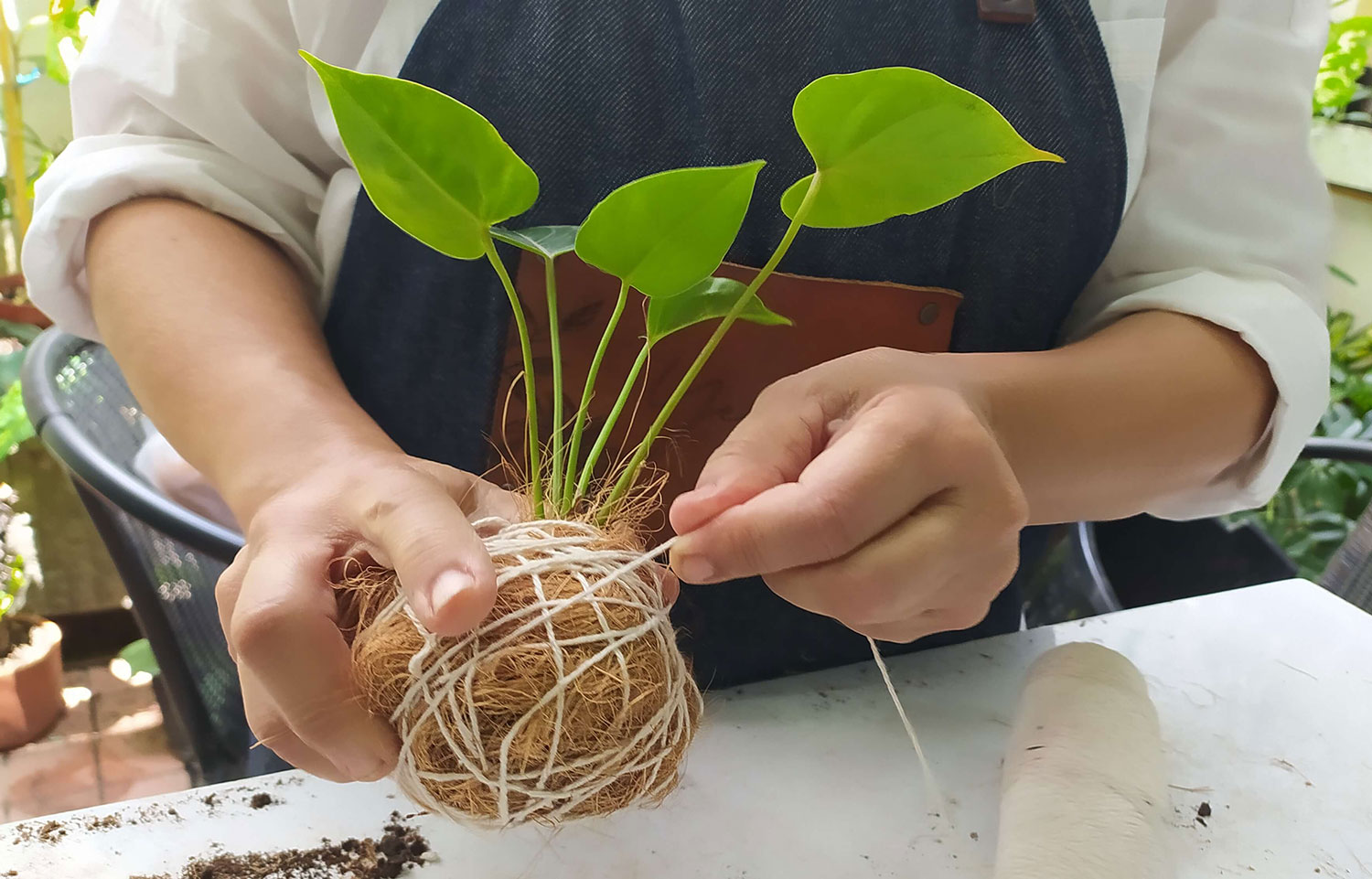 Curso de jardineria PlantArte. Clase de jardinería con la profesora Yelitza león Aprende sobre sustratos, poda, siembra y mucho más